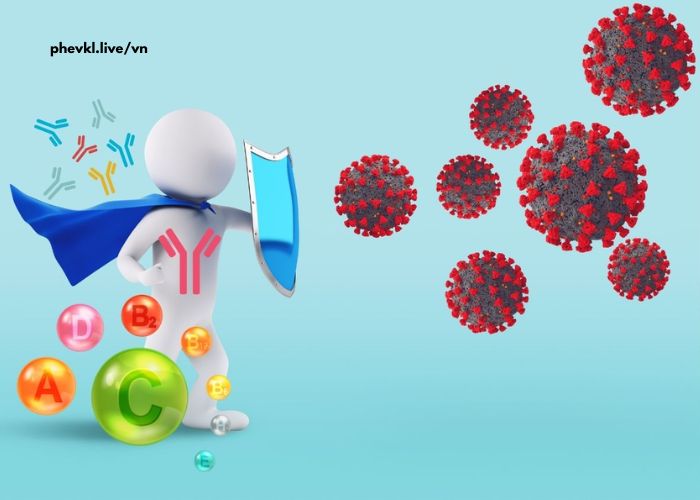 Cách tăng cường miễn dịch tự nhiên cho cơ thể khỏe mạnh