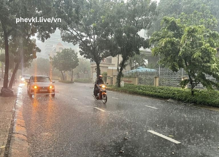 Dự Báo Mưa Rào Và Dông Rải Rác Tại Điện Biên Và Lai Châu